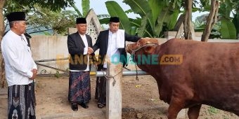 Pemkab Madiun Salurkan 40 Hewan Kurban ke Masjid dan Ponpes