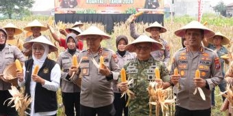 Gubernur dan Kapolda Jatim Hadiri Panen Raya Jagung Serentak Kuartal I di Sidoarjo