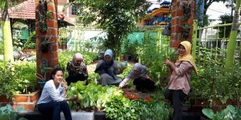 Lebih Sejuk, Kantor Kecamatan Tuban Punya Taman Agro dan Kebun Buah