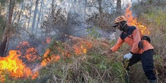 Akibat Kebakaran Hutan Panderman, Jalur Pendakian Ditutup Sementara