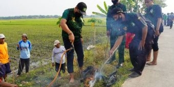 Amankan Sektor Pangan, GPK Jombang Bantu Petani Gropyokan Tikus