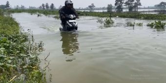 Luapan Sungai Bengawan Jero Rendam Desa Kalitengah, Warga Berharap Solusi dari Pemkab Lamongan