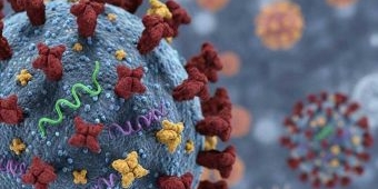 Super Flu Jadi Sorotan, Begini Penanganannya