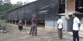 Warga Rejomulyo Ngawi Keluhkan Bau Peternakan Ayam Petelur, Minta Perbaiki Pengelolaan Limbah