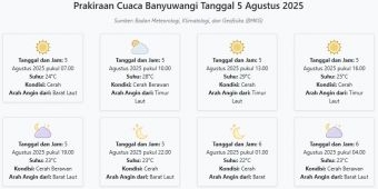 Cuaca Banyuwangi Hari ini Selasa, 5 Agustus 2025: Diperkirakan Cerah dengan Suhu 22-29°C