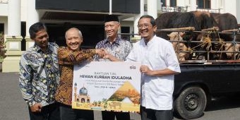 Salurkan 38 Hewan Kurban, SIG Pabrik Tuban Pastikan Kesehatan Sapi Terjamin