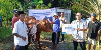 YBM PLN Madura Tebar 230 Paket Daging Kurban untuk Warga Dhuafa Pamekasan