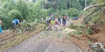 Tanah Longsor Kembali Melanda Sejumlah Wilayah di Pacitan