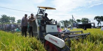 Petani Kediri Sumringah, Rasakan Kenaikan Harga Gabah Berkat Terobosan Bupati Dhito