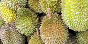 Jarang Diketahui! Ini 5 Manfaat Mengonsumsi Durian Salah Satunya Cegah Kanker