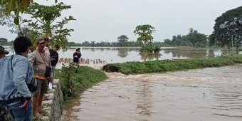 Tanggul Sungai Bogokerep Kediri Jebol, Puluhan Hektare Lahan Pertanian Tergenang Air