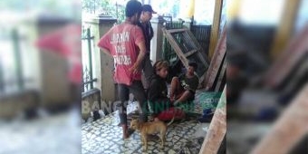 Huni Rumah Kosong dan Bawa Anjing, 10 Anjal Diringkus Satpol PP Tuban