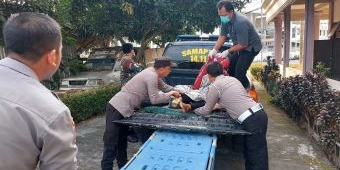 Kecelakaan di Blitar Sebabkan Tiga Korban Meninggal Dunia, Satu di antaranya Balita