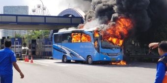 Bus Pariwisata Rombongan Mahasiswa Mataram Terbakar di Pintu Tol Menanggal