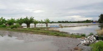 2017, Petani di Pasuruan yang Kebanjiran Bisa Ajukan Dana Ganti Rugi Bibit