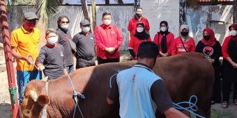 Kurban Satu Ekor Sapi, DPC PDIP Kabupaten Kediri Bagikan Daging Kurban Secara Door to Door