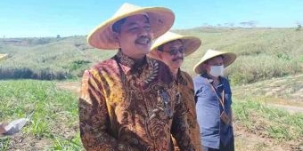  Kemenperin Dorong Blitar Terus Tingkatkan Produksi Gula