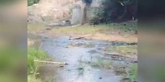 Viral di Medsos, Limbah Diduga Milik Pabrik Gula RMI Cemari Sungai