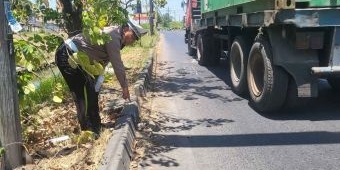 Gagal Salip Truk, Pengendara Motor di Sidoarjo Terlindas Truk
