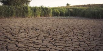 PBB Peringatkan Potensi El Nino 2027 Picu Cuaca Ekstrem