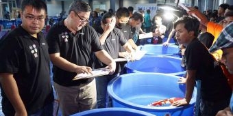 Pemkab Kediri Gelar All Indonesia Koi Show ke-19