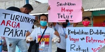 Tuntut Harga Pakan Diturunkan, Ratusan Peternak Ayam di Ringinrejo Bagi-Bagi Telur