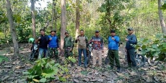 Cegah Pencurian Kayu, Perhutani BKPH Bancar Laksanakaan Patroli Rutin