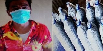 Gunakan Handak saat Menangkap Ikan, Warga Sapeken Sumenep Ditangkap Polisi