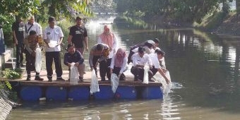 Dukung Program Ketahanan Pangan, PWI Jombang Tebar Ribuan Benih Ikan