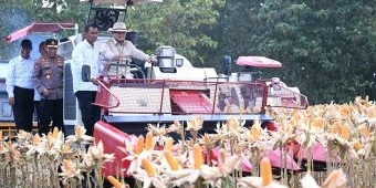 Hadiri Panen Raya di Tuban, Presiden Prabowo Dicurhati Petani: Butuh Irigasi hingga Alat Pascapanen