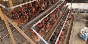 Masyarakat Bojonegoro Mulai Rasakan Program Gayatri, Tapi KPM Tetap Butuh Pendampingan