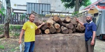 Terlibat Illegal Logging, Mantan Kades Renteng Kabupaten Probolinggo Ditahan Polisi