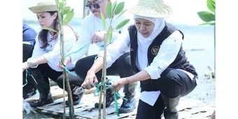 Pesan Khofifah di Hari Lingkungan Hidup Sedunia 2024