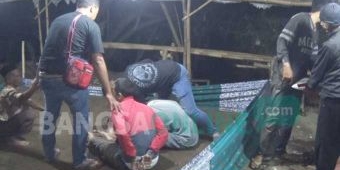 Polres Jombang Gerebek Judi Sabung Ayam dan Dadu di Sumobito, Amankan Dua Pelaku