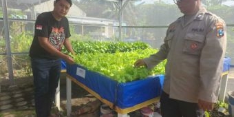 Bhabinkamtibmas Tebel Tinjau Lahan Ketahanan Pangan Sayur Hidroponik di Gedangan Sidoarjo