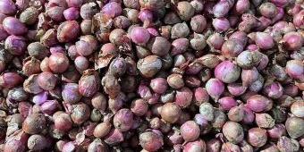 Fluktuasi Harga Pangan Jabar Hari Ini: Bawang Merah, Cabai Besar dan Daging Ayam Merosot