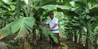 Reforma Agraria Bawa Harapan Baru untuk Desa Adat Asahduren Jembrana