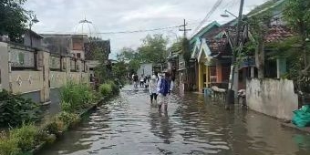 Banjir Pasuruan 3 Hari Tak Surut, Warga Kedungringin Lumpuh Aktivitas
