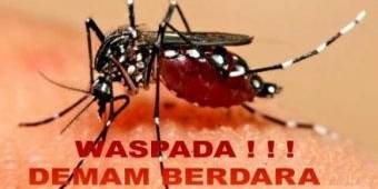 Awal 2016, DB Telan 11 Korban Meninggal