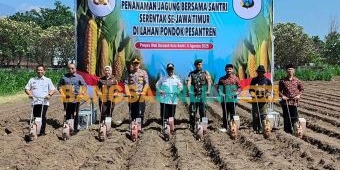 Dukung Ketahanan Pangan Nasional, Santri di Kediri Tanam Jagung Serentak