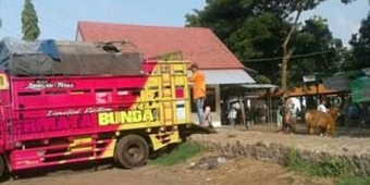 Pemkot Probolinggo Tutup Pasar Ternak, Pedagang Tetap Bandel Berjualan