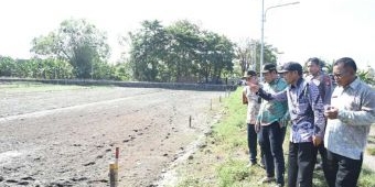 Petani di Jabon Mengeluh Sawah Kekeringan, Ini Langkah yang Diambil Pemkab Sidoarjo