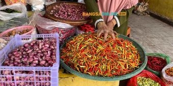 Merosot Lagi, Harga Cabai Rawit di Surabaya Hari Ini Turun Rp7.300