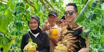 Petik Melon di Gen Sobo Farm Burengan, Wali Kota Kediri Ajak Masyarakat Tingkatkan Ketahanan Pangan