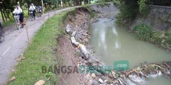 Plengsengan Sungai Marmoyo di Kedungjati Jombang Ambrol, Warga Khawatir Merusak Jalan