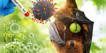 Pemkot Surabaya Terbitkan SE Kewaspadaan Virus Nipah, Warga Diminta Perketat PHBS