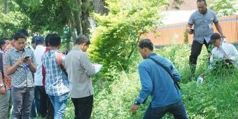 Puluhan Pohon Sonokeling di Sepanjang Jalan Tulungagung-Trenggalek Raib 