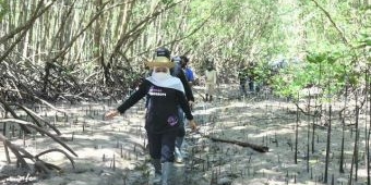 Restorasi Mangrove, Gubernur Khofifah Ingin Jadi Referensi Destinasi Edu Wisata