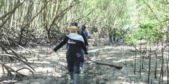 ​Restorasi Mangrove, Gubernur Khofifah Ingin Jadi Referensi Destinasi Edu Wisata