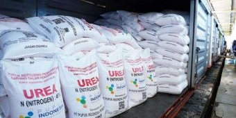 Resmi Diberlakukan Hari ini, DKP2P Tuban Jelaskan Skema Terbaru Distribusi Pupuk Bersubsidi